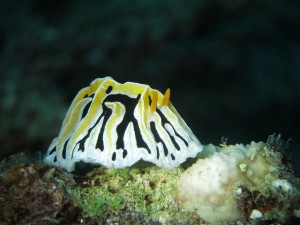 s-IMG_1838