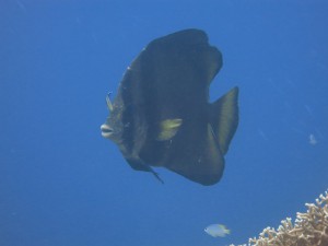 s-IMG_1847