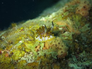 s-IMG_1848