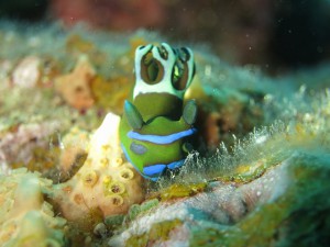 s-IMG_1860