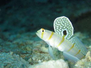 s-IMG_3690