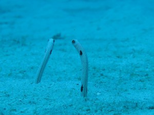s-IMG_5237