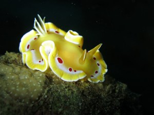 s-IMG_5742