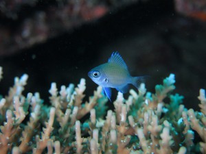 s-IMG_5829