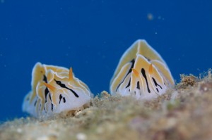 s-IMG_6308