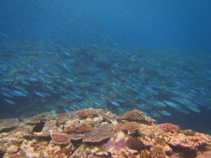 s-IMG_6377