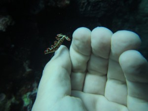 s-IMG_6387
