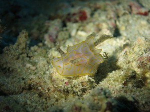 s-IMG_7405
