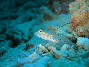 s-IMG_7918