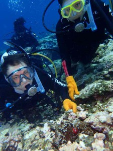 s-P4050323