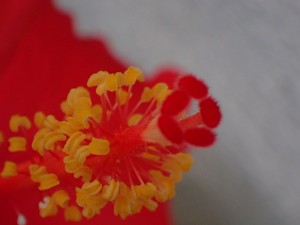 s-P4170584