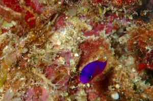 s-P8020336