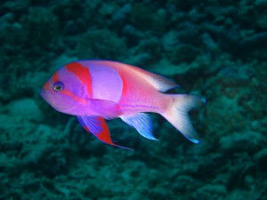 sIMG_0124