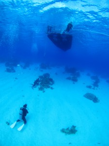 sIMG_5841