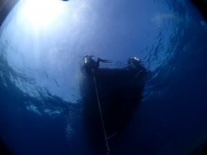 sP4230428