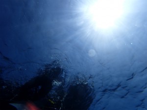 sP4290692