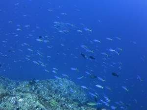 IMG_0643