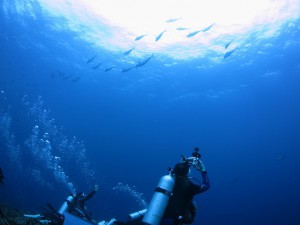 IMG_0667