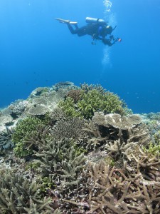 IMG_0843