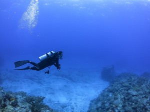 IMG_0886