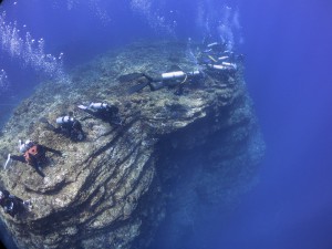 IMG_1292