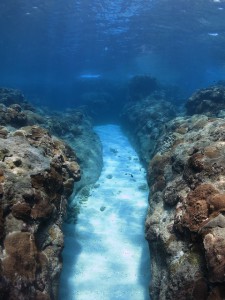 IMG_2326