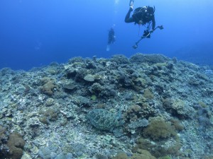 IMG_2588