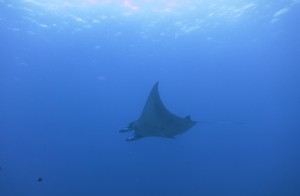 IMG_2762
