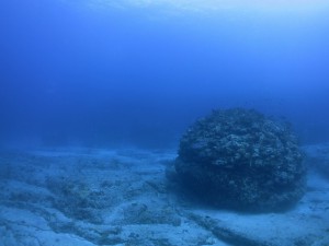 IMG_2799