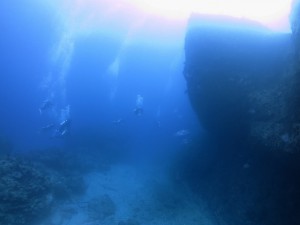 IMG_2801