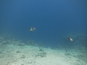 IMG_2824