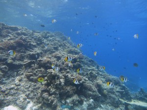 IMG_2900