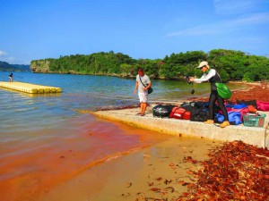 s-IMG_0077