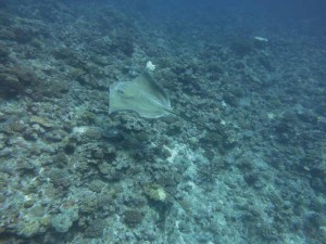 s-IMG_0498
