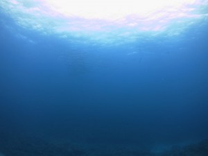 s-IMG_0499