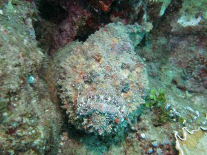 s-IMG_0728