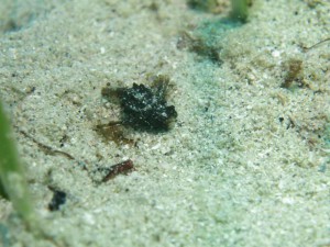 s-IMG_0740