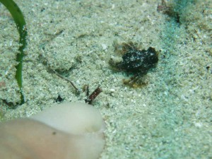 s-IMG_0742