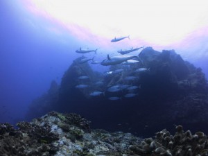 s-IMG_1064