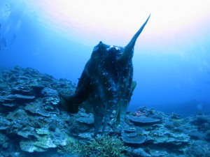 s-IMG_2371