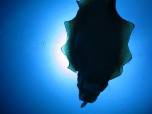 s-IMG_2373