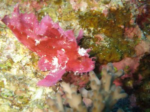 s-IMG_2376