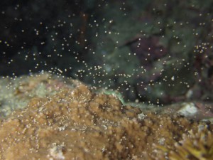 s-IMG_2587