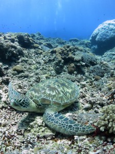 sIMG_0848