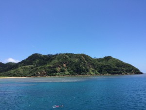 sIMG_3490
