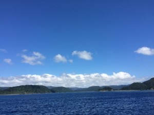sIMG_3491