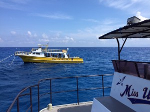 IMG_0605