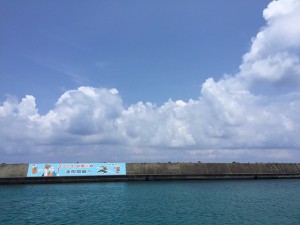 IMG_0610