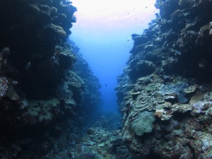 IMG_1646