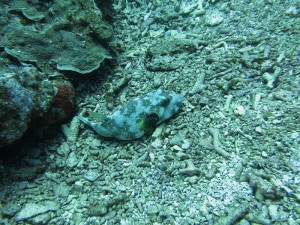 IMG_1990